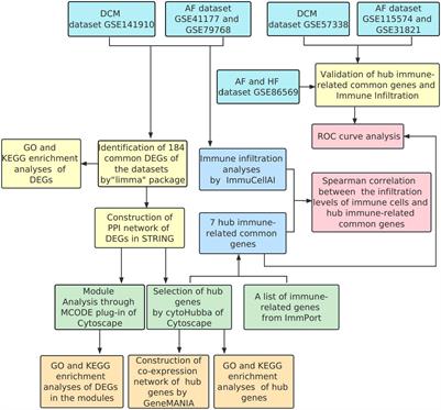 Exploring the pathogenesis and immune infiltration in dilated cardiomyopathy complicated with atrial fibrillation by bioinformatics analysis